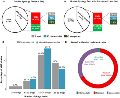 Phenotypic characterization and epidemiology of extended-spectrum β-lactamase-producing Enterobacteriaceae strains from urinary tract infections in Garoua, Cameroon